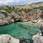 Camping Aquariumm *