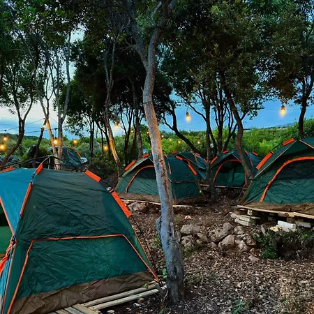 Aquarium * 히마레